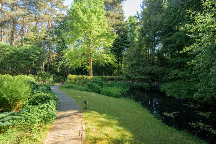 Photo 58 of Oude Bredasebaan 17