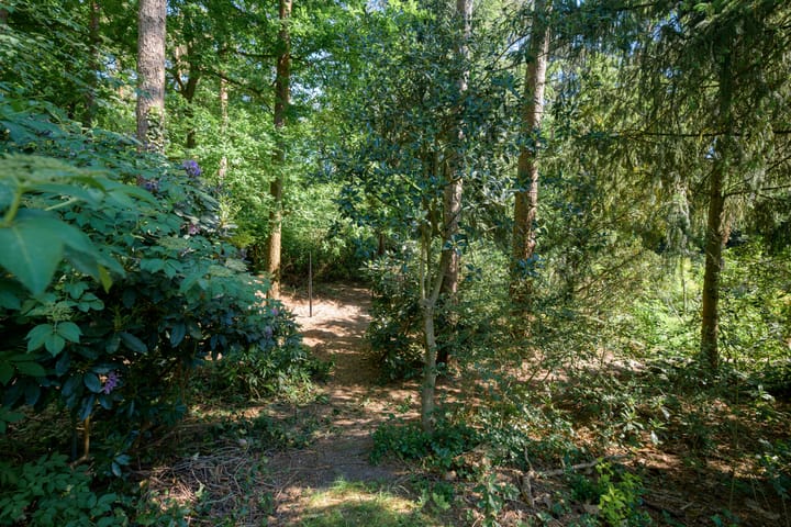 Photo 60 of Oude Bredasebaan 17