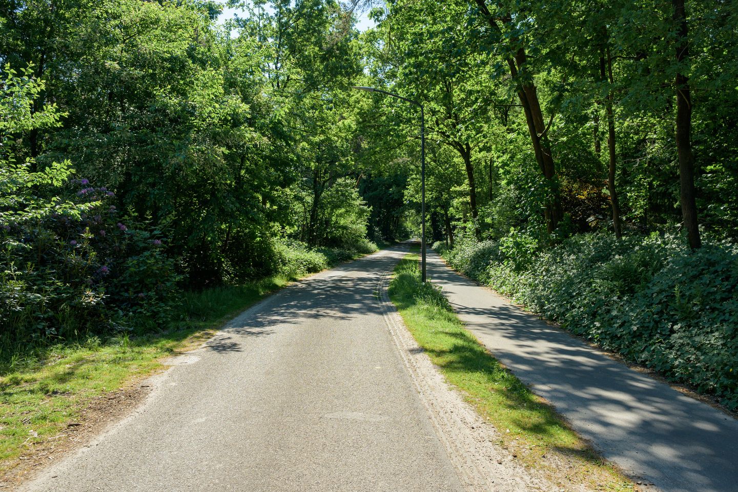 Foto 64 van Oude Bredasebaan 17