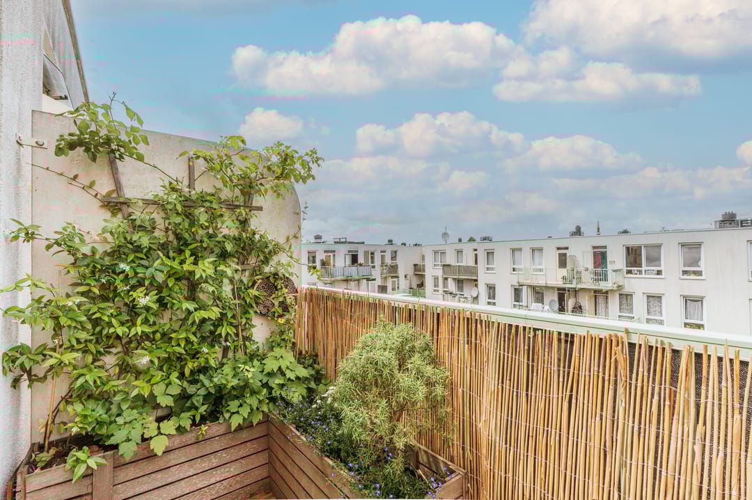 Foto 16 van Jacob van Lennepstraat 252-D