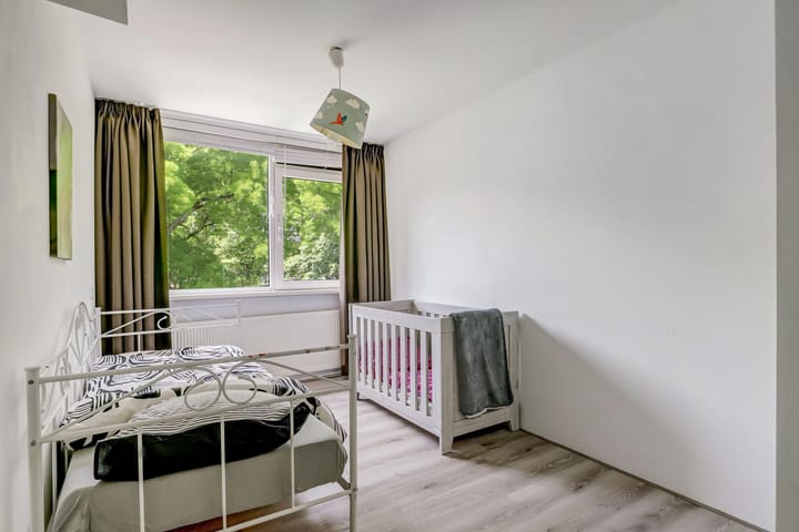 Foto 31 van Rode Zee 46