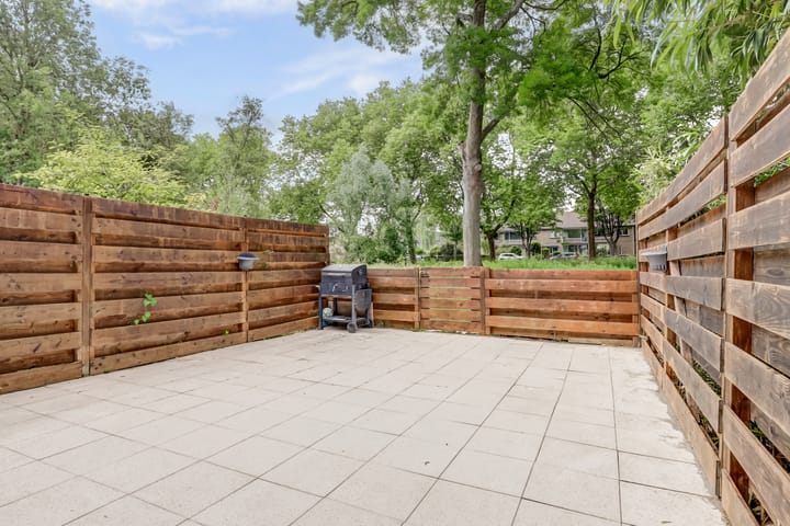 Foto 42 van Rode Zee 46