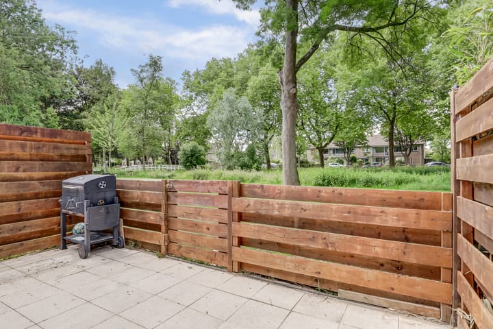 Foto 43 van Rode Zee 46