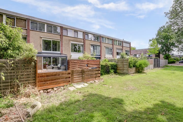 Foto 46 van Rode Zee 46