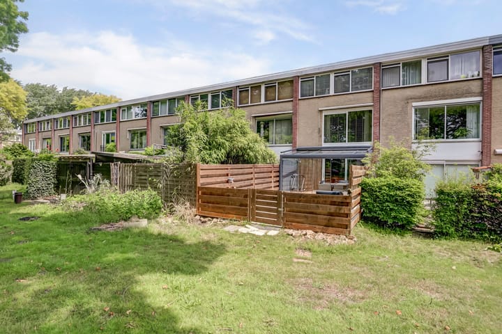 Foto 47 van Rode Zee 46