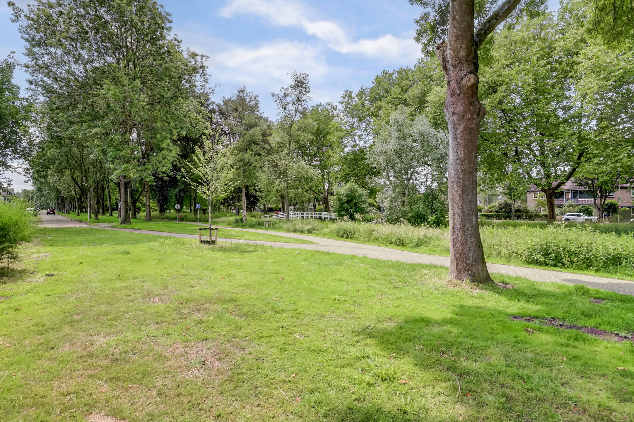 Foto 48 van Rode Zee 46