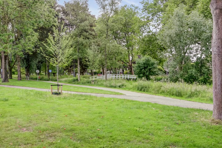 Foto 49 van Rode Zee 46