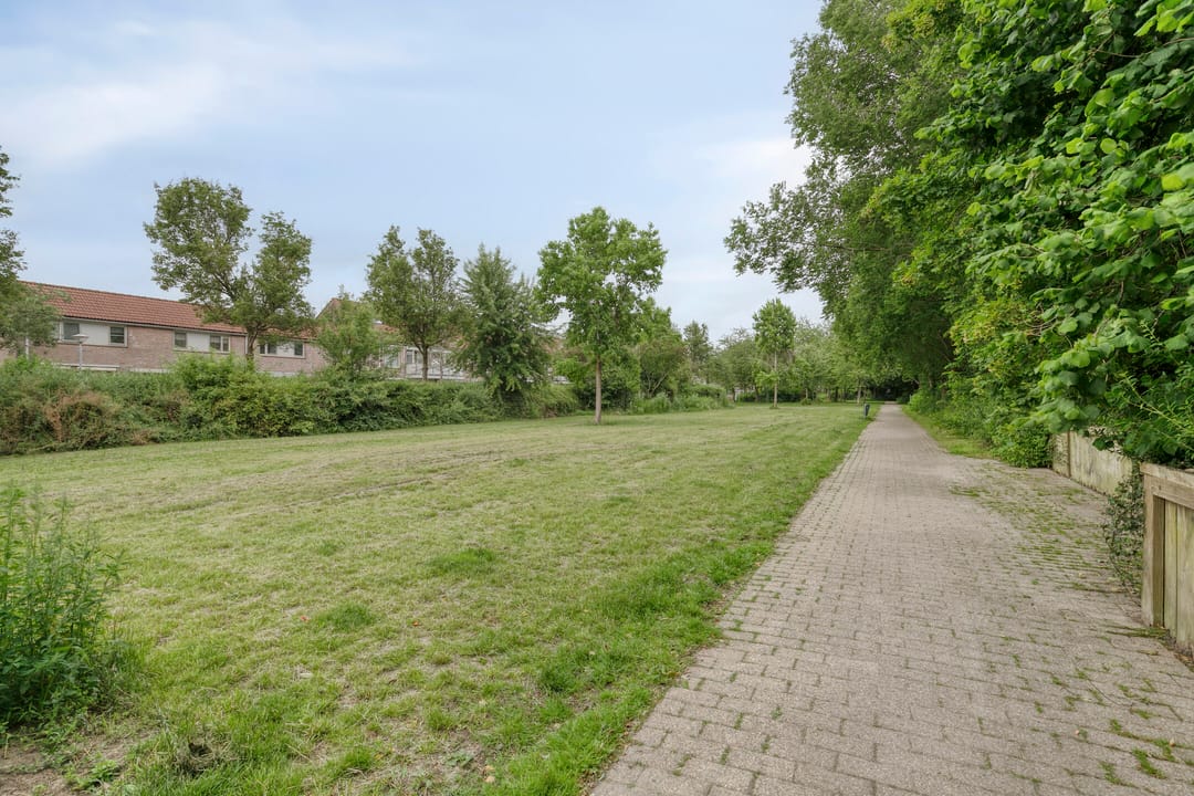 Foto 41 van Ceder 95