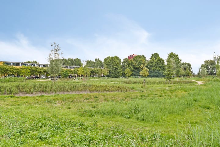 Foto 29 van Pigmenthof 36