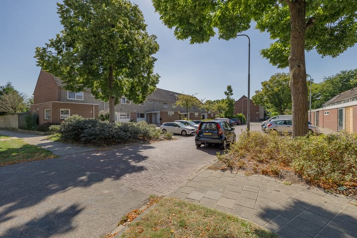 Foto 3 van Daniëlsland 3