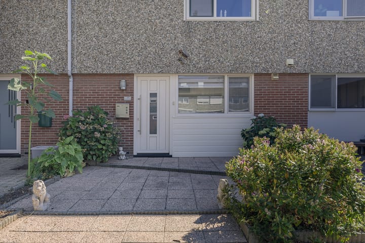 Foto 5 van Daniëlsland 3