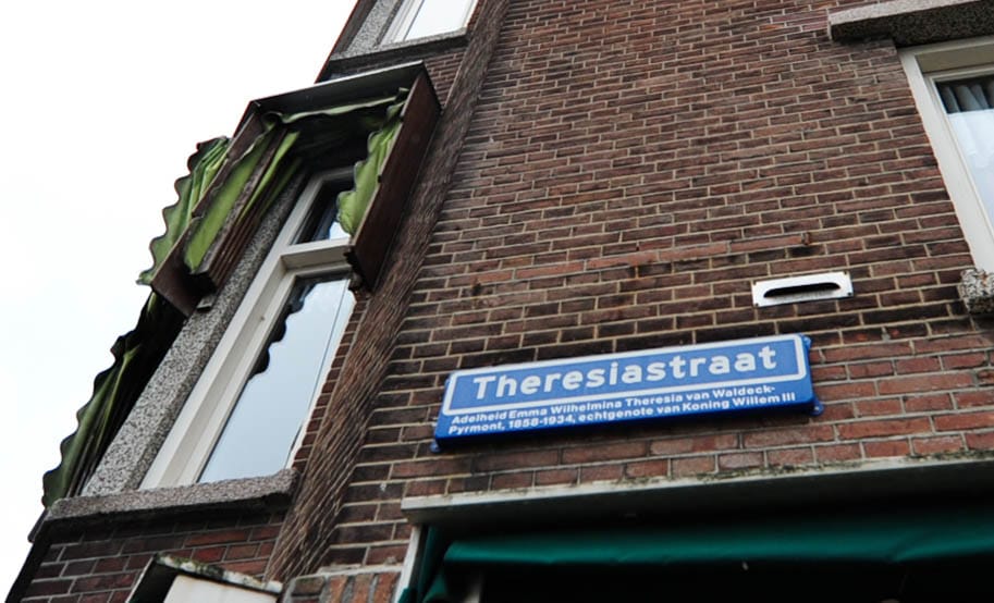 Foto 22 van Theresiastraat 368