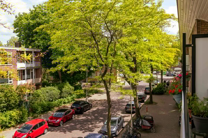 Foto 4 van Linnaeusparkweg 234-2