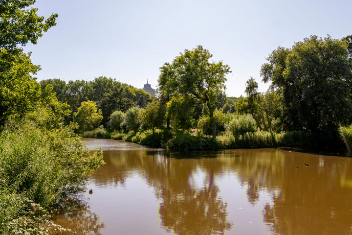 Foto 29 van Linnaeusparkweg 234-2