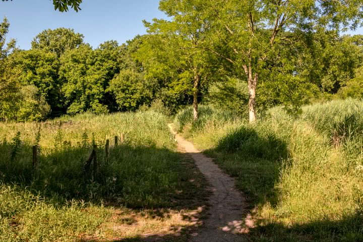 Foto 31 van Linnaeusparkweg 234-2