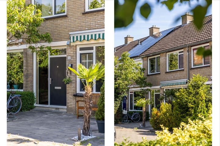 Foto 4 van Bolkruid 10