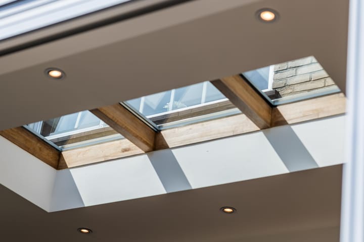 Foto 10 van Bolkruid 10