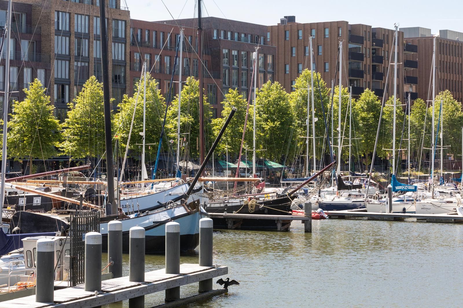 Foto 30 van Lisdoddelaan 129