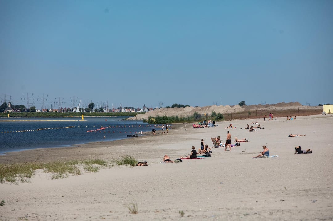 Foto 32 van Lisdoddelaan 129