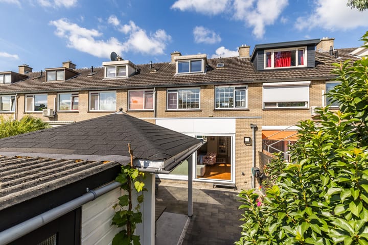 Foto 26 van Bolkruid 10