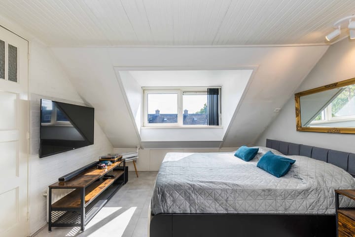 Foto 40 van Bolkruid 10