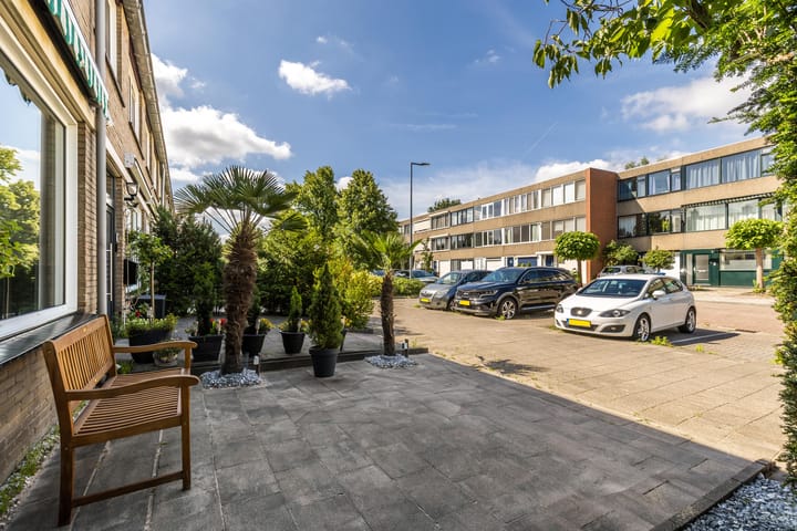 Foto 45 van Bolkruid 10