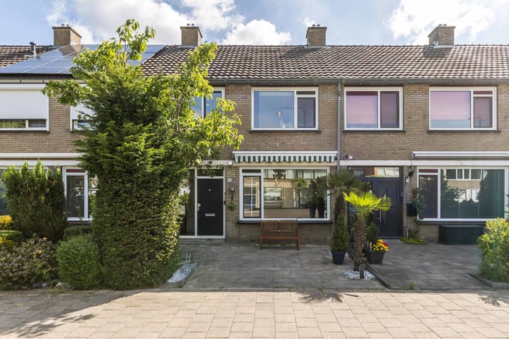 Foto 47 van Bolkruid 10