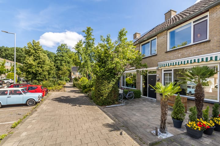 Foto 48 van Bolkruid 10