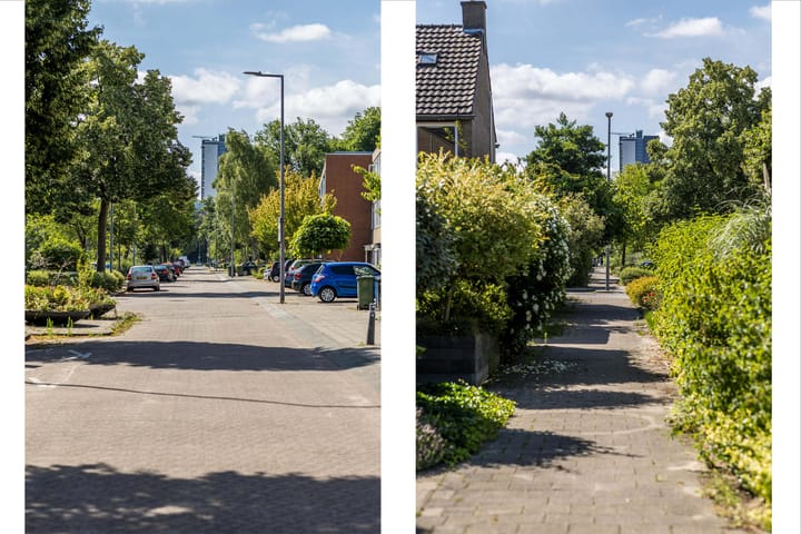 Foto 49 van Bolkruid 10