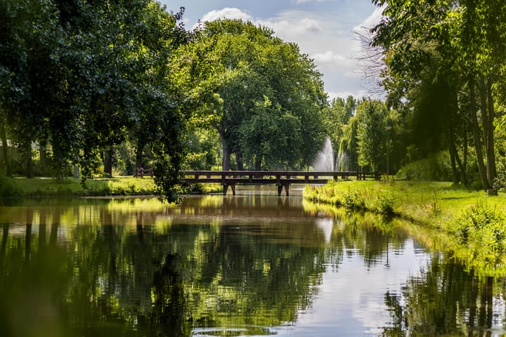 Foto 50 van Bolkruid 10