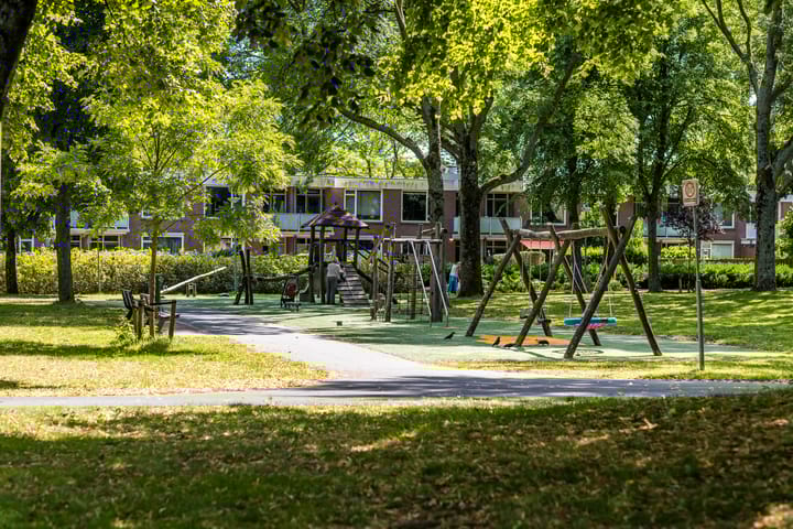 Foto 51 van Bolkruid 10