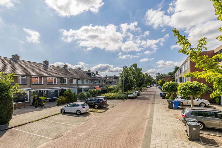 Foto 52 van Bolkruid 10