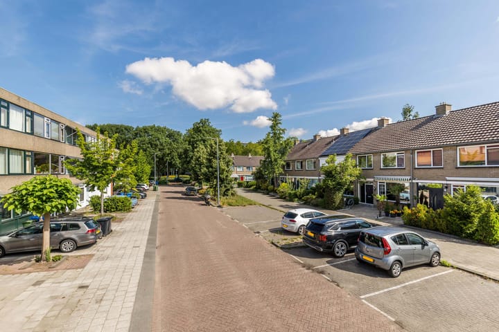 Foto 53 van Bolkruid 10