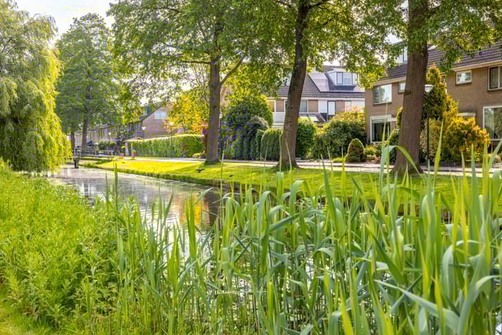 Foto 32 van Florenweer 14