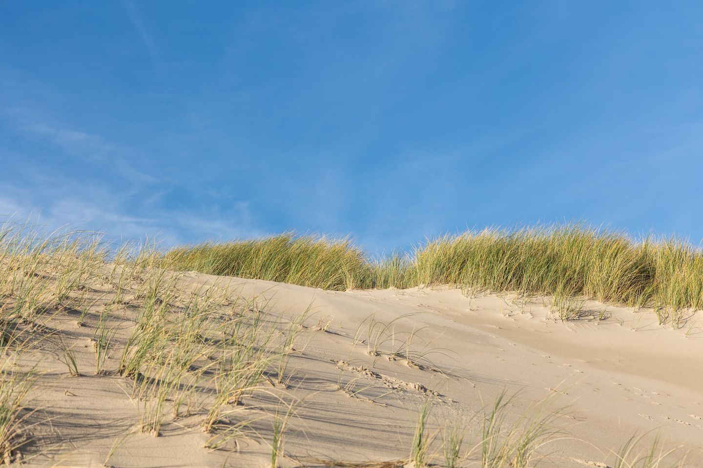 Foto 44 van Strandslag 136