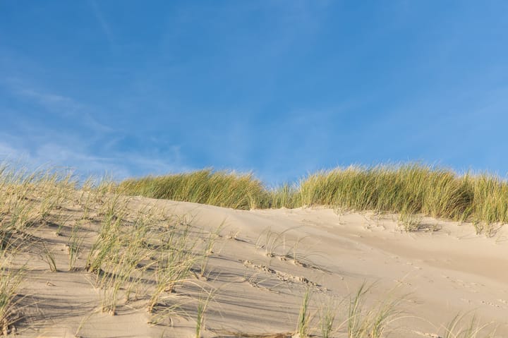 Photo 44 of Strandslag 136