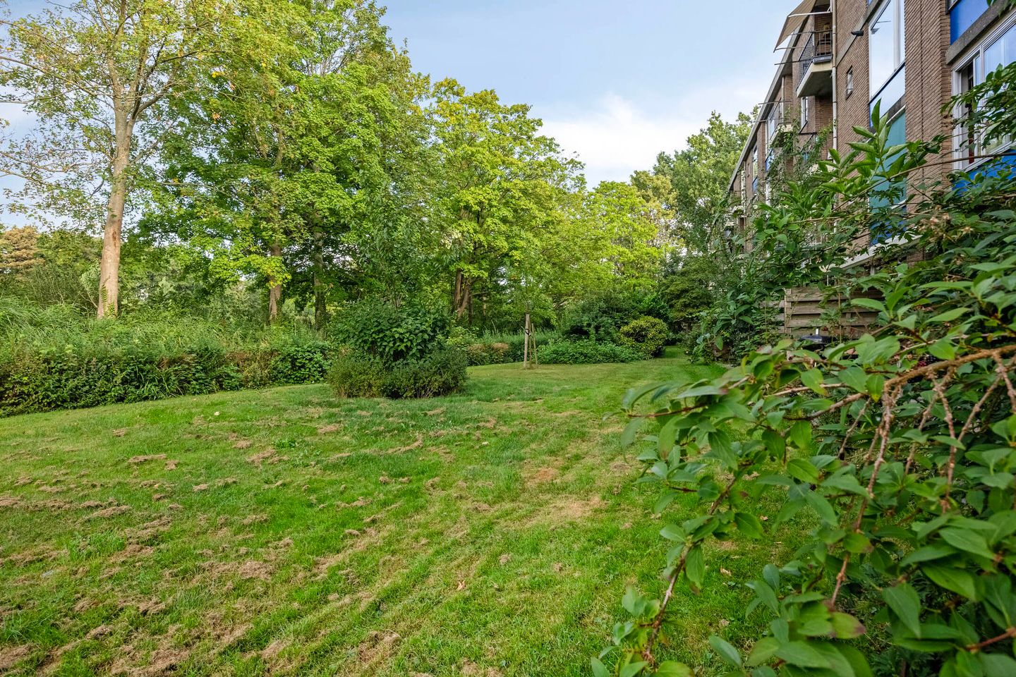 Foto 40 van Willem de Rijkelaan 134