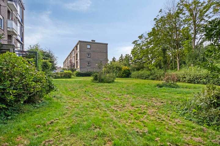 Foto 41 van Willem de Rijkelaan 134