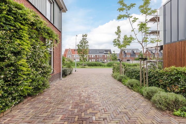 Foto 7 van Borgerlant 19