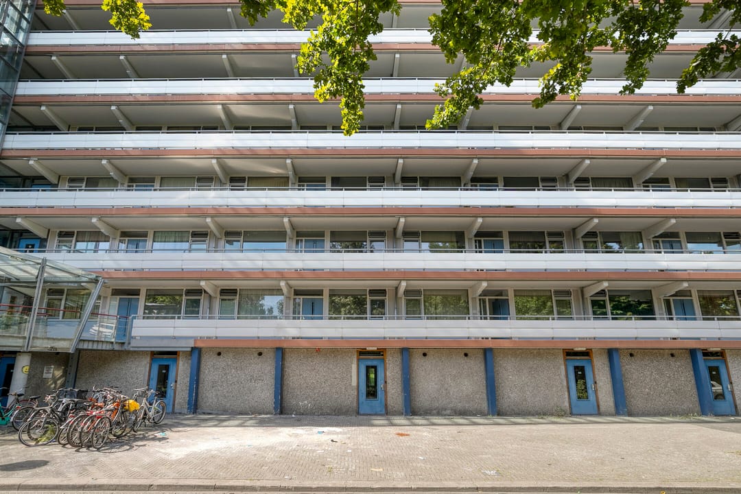 Foto 7 van Kikkenstein 3143