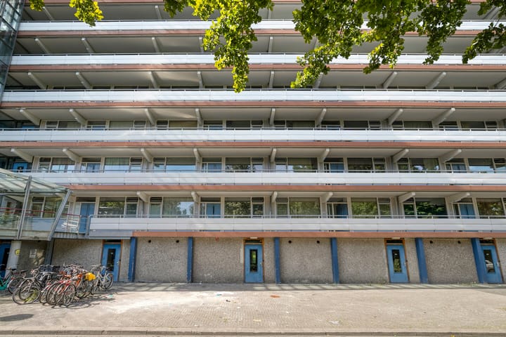 Foto 7 van Kikkenstein 3143