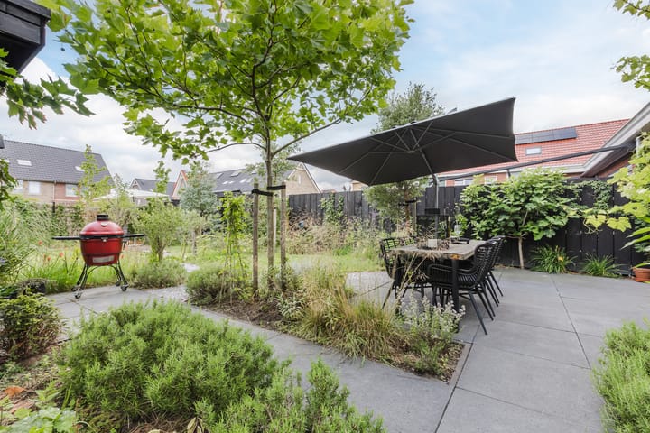 Foto 47 van Borgerlant 19