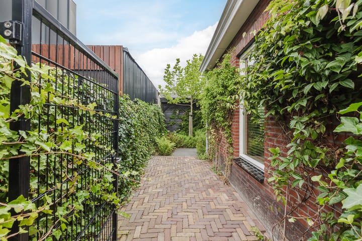 Foto 58 van Borgerlant 19