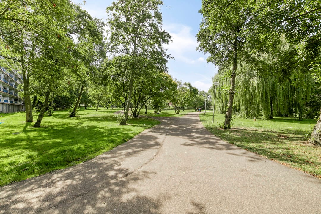 Foto 31 van Kikkenstein 3143