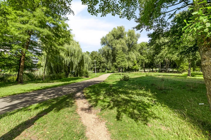 Foto 32 van Kikkenstein 3143