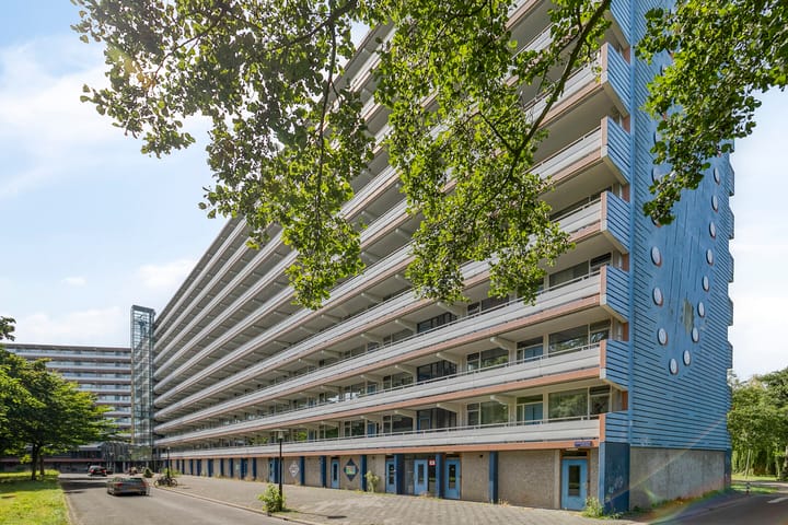 Foto 1 van Kikkenstein 3143