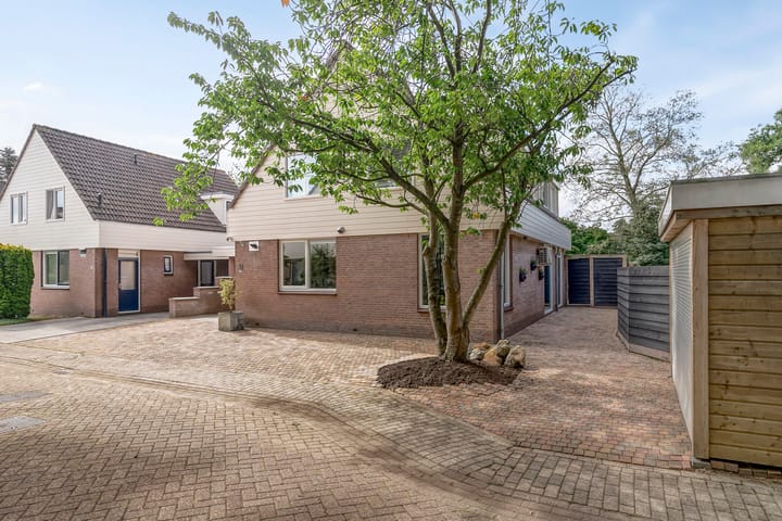 Photo 69 of Struisgras 41