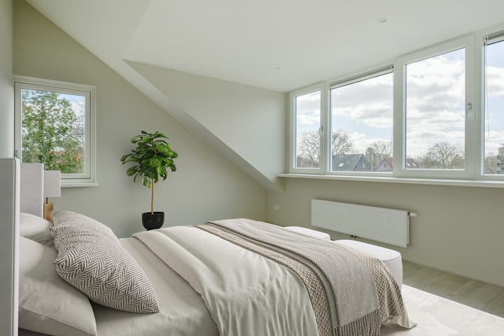 Foto 2 van Swammerdamstraat 6-A