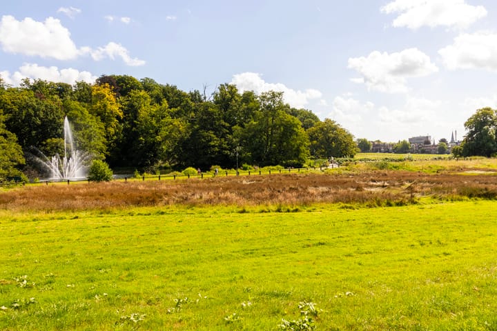 Foto 49 van Van Pallandtstraat 39