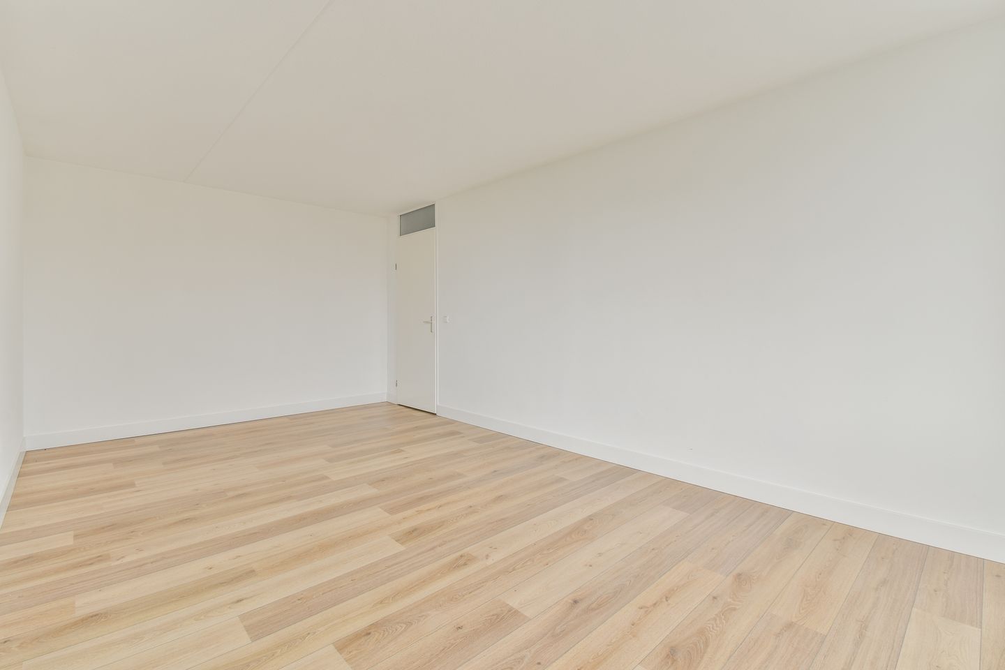 Foto 10 van Hermelijnvlinder 45